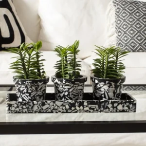 Rigby Pots with Tray